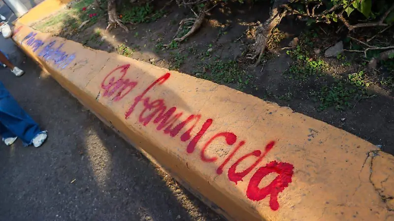 marcha 8m_IS_2026 (10